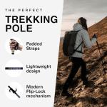 Montem Black Ultra Strong Trekking Poles, One Pair
