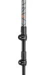 LEKI Lightweight Adjustable Walking Poles - Trekking and Hiking