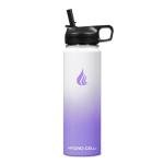 Stainless Steel Insulated Water Bottle with Straw - 24oz