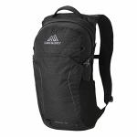 Gregory Nano 18 Outdoor Backpack, Black, One Size