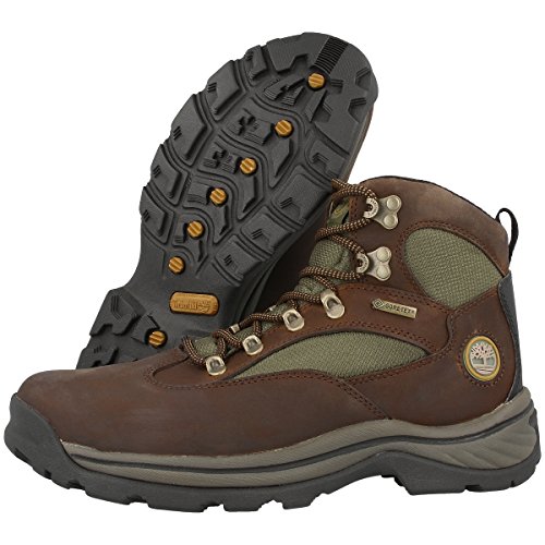Timberland Men's Waterproof Chocorua Trail Mid Snow Shoe