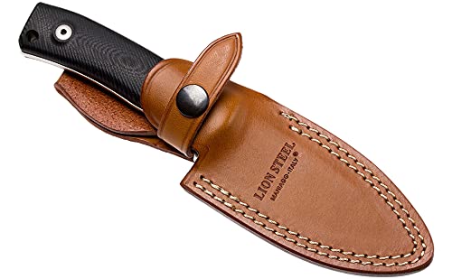 LionSTEEL M4 Camping Knife, M390 Steel, Black G10