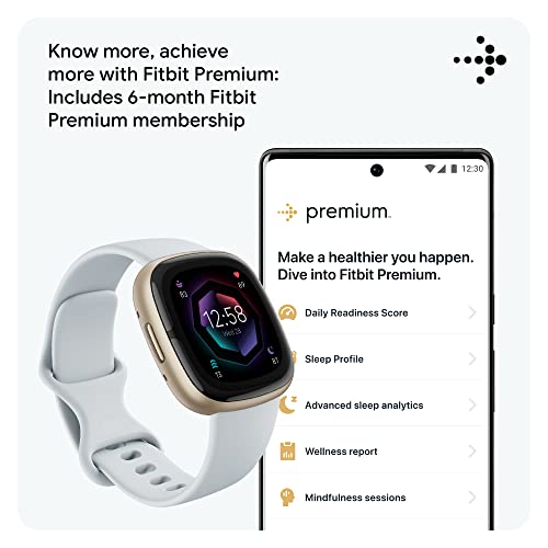 Fitbit Sense 2 Fitness Smartwatch with Stress Management