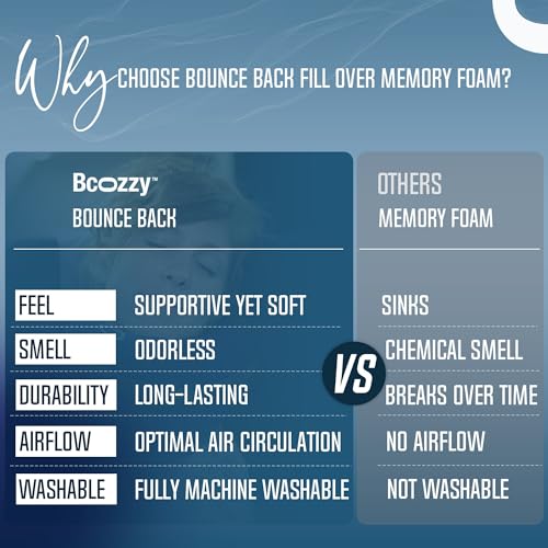 BCOZZY Travel Neck Pillow for Double Head Support