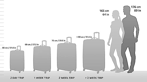 Orange 29-Inch Rolling Luggage