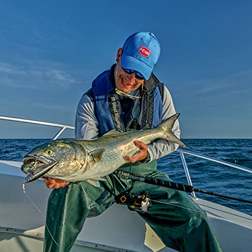 Penn Warfare Inshore/Nearshore Fishing Reel, HT-100 Star Drag