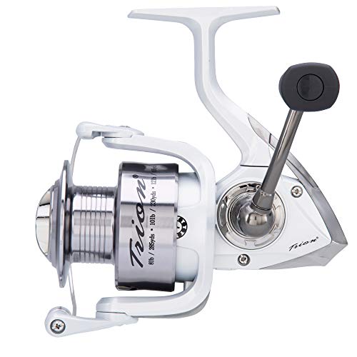 Pflueger Trion Size 40 Spinning Fishing Reel, Graphite/aluminum