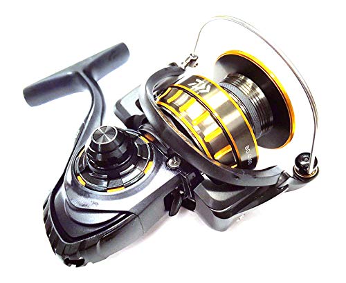 Daiwa BG5000 Saltwater Spinning Reel, 5000, 5.7: 1