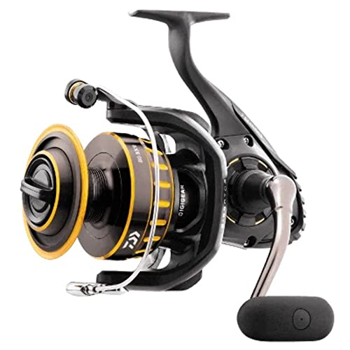 Daiwa BG2000 Saltwater Spinning Reel: Black/Gold