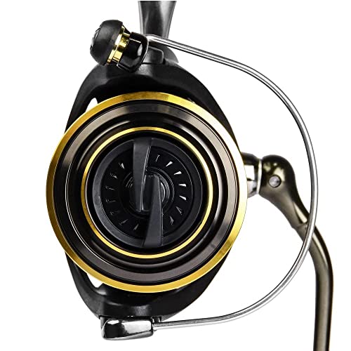 Daiwa BG2000 Saltwater Spinning Reel: Black/Gold