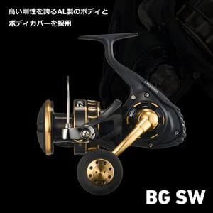 Daiwa 23BG SW 4000D-CXH Shore Jigging Reel