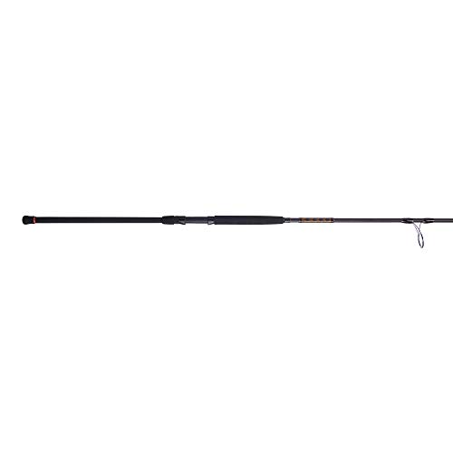PENN Squadron III 10’ Surf Spinning Fishing Rod, 2-Piece