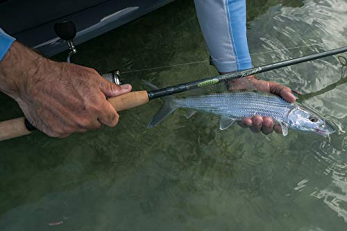 St. Croix Triumph Inshore Spinning Rod