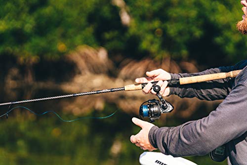 Penn Clash II Spinning Reel, Grey/Black, Size 2000