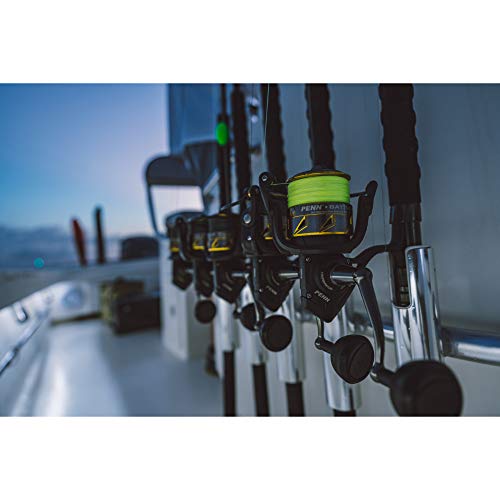 Penn Battle III Inshore Fishing Reel, HT-100 Drag
