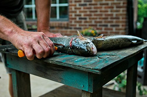 UltraSource 6" Boning Knife with Curved Blade & Orange Handle