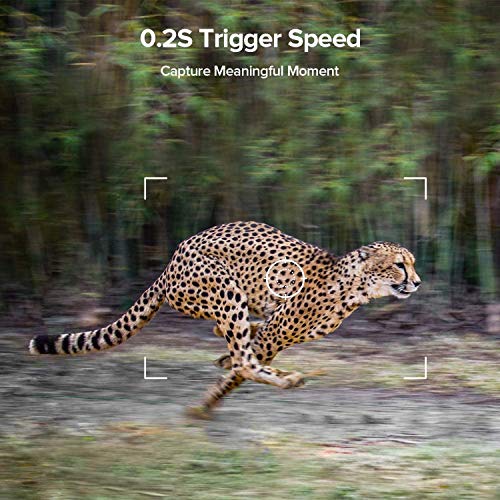 Vikeri Trail Camera: 20MP Game Cam with Night Vision