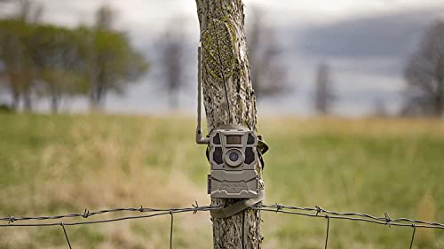 2-Pack TACTACAM Reveal X Gen 2.0 LTE Trail Camera