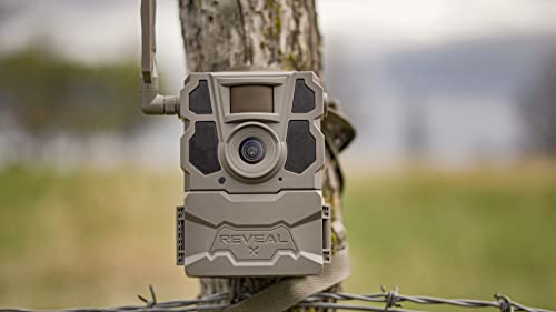 2-Pack TACTACAM Reveal X Gen 2.0 LTE Trail Camera