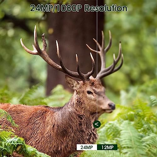 24MP Mini Trail Camera with 1080P Video Capture