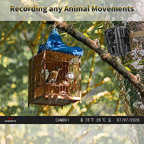 WOSPORTS 24MP Mini Game Hunting Camera Night Vision