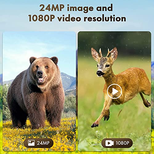 24MP Solar Trail Camera, Rechargeable, Night Vision