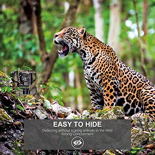 WOSPORTS Mini Trail Camera: 24MP HD Hunting Cam