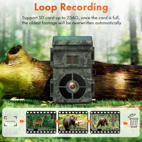 24MP Solar Trail Camera, Rechargeable, Night Vision