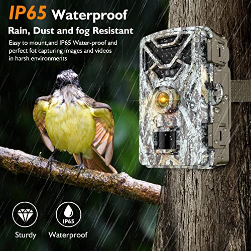 30MP 2K Trail Camera with Motion Sensor Wildlife Monitoring