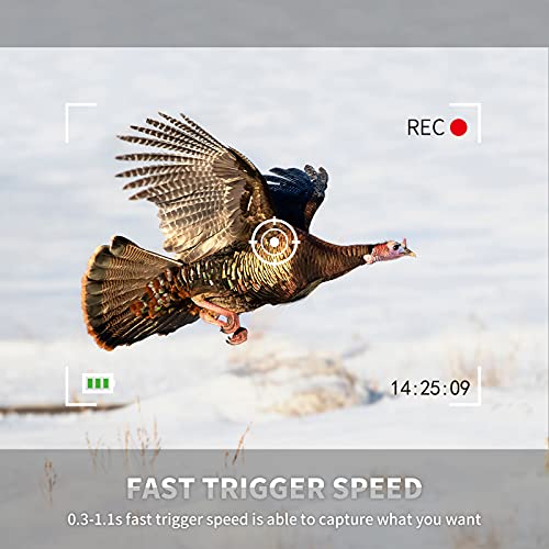 WOSPORTS 24MP Mini Game Hunting Camera Night Vision