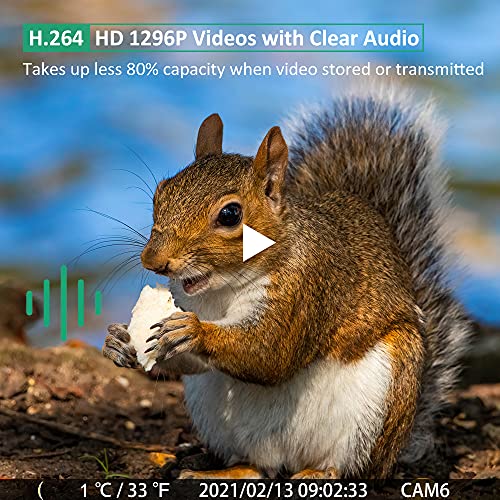 GardePro E6 WiFi Trail Camera 32MP 1296P Game Security