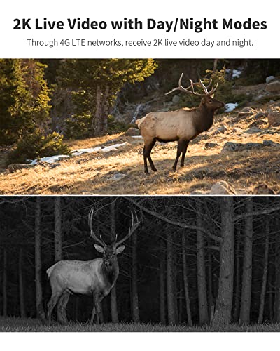 Ebitcam 4G LTE Trail Camera Gen 3.0 Wildlife Kit