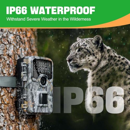 Cell Phone Enabled Trail Camera with Night Vision