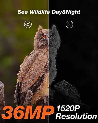 iZEEKER Solar Trail Camera: Night Vision and Waterproof