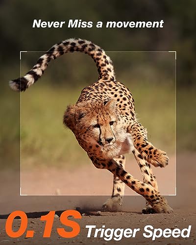 iZEEKER Solar Trail Camera: Night Vision and Waterproof