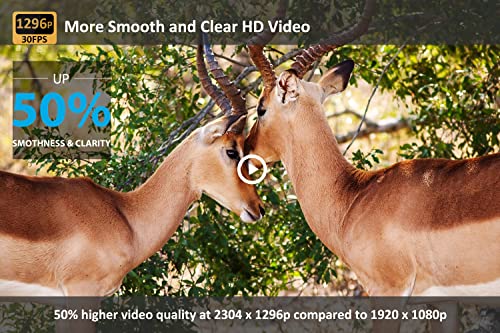 Meidase Trail Camera: 48MP, 1296p, 100ft Night Vision