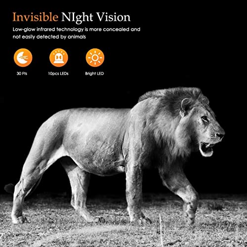 Hawkray Trail Camera 20MP 1080P with Accessories