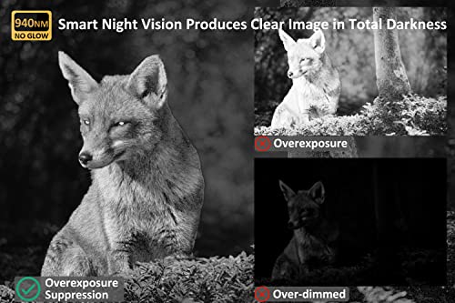 Meidase Trail Camera: 48MP, 1296p, 100ft Night Vision