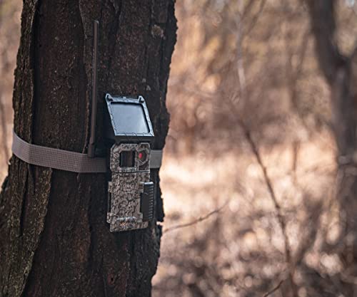 SPYPOINT LTE Cellular Trail Camera with 10MP Resolution