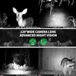 WOSPORTS Trail Camera 36MP 4K Motion Activated Night Vision