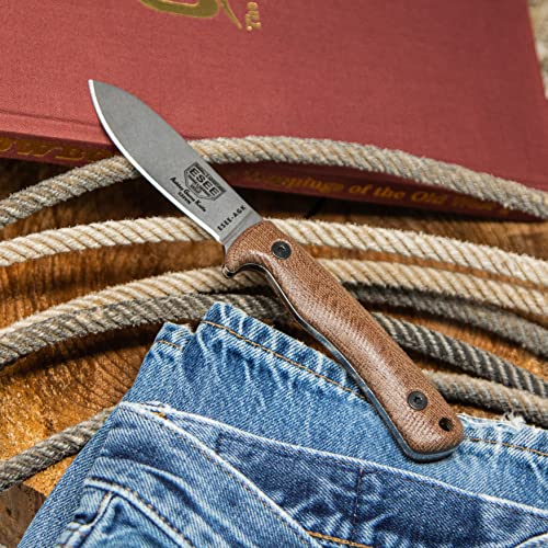 ESEE Knives Ashley Game Hunting Skinning Knife Brown