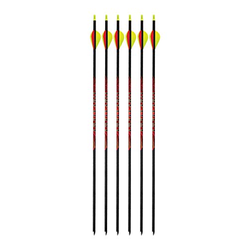 Black Eagle Outlaw 500 Spine Fletched Arrows 6-Pack