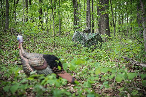 Ameristep Mossy Oak Hunting Blinds & Treestands Combo