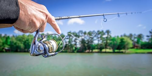 Pflueger President Size 40 Spinning Fishing Reel