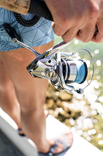 STRADIC 1000FL HG Spinning Reel