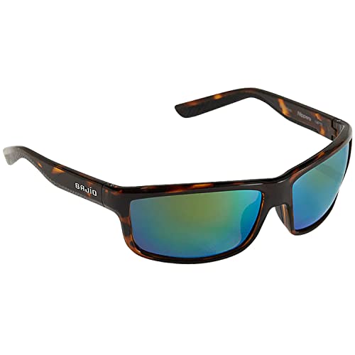 Brown Tortoise Gloss Sunglasses with Green Mirror Lens