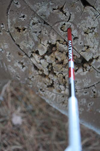 6 Pack Carbon Express Maxima Red SD Arrows