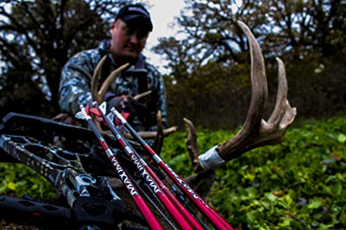 6 Pack Carbon Express Maxima Red SD Arrows