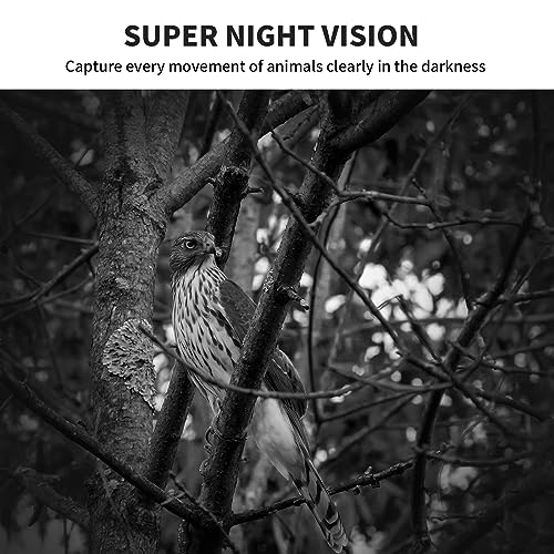 2 Pack WOSPORTS Mini Trail Camera 24MP Night Vision