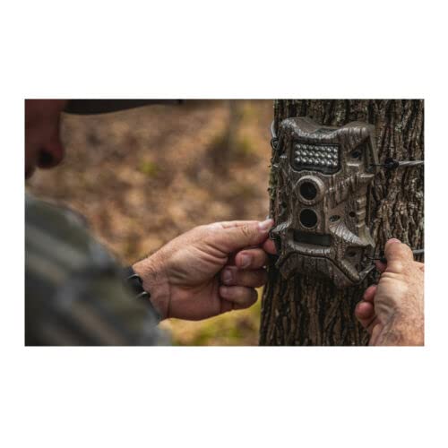 Wildgame Terra Extreme 14MP Trail Camera | Images, Video, Bark